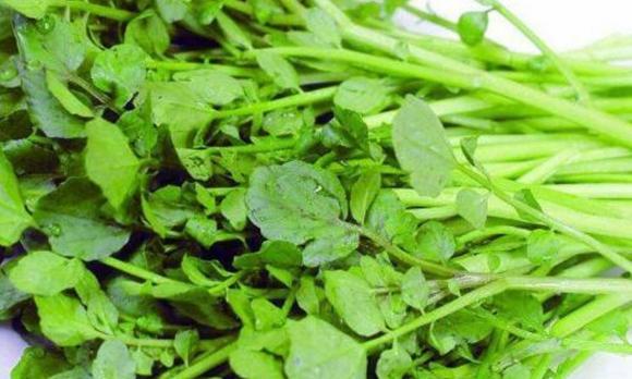 Rau tốt nhất thế giới của Mỹ,cải xoong,tác dụng của cải xoong