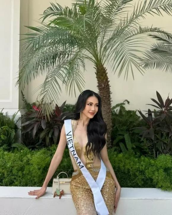 hoa hậu Bùi Quỳnh Hoa, Miss Universe 2023, sao Việt