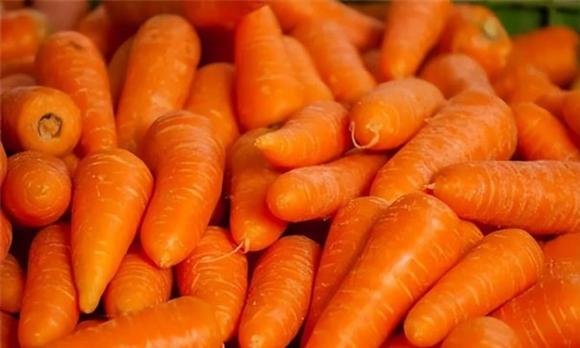 cà rốt, thực phẩm tốt cho sức khỏe, món ngon từ cà rốt