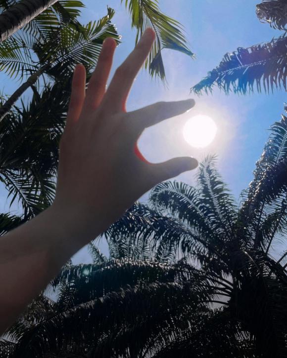 hải tú, sao việt 