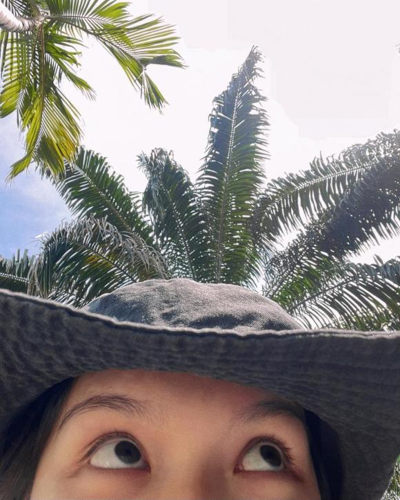 hải tú, sao việt 
