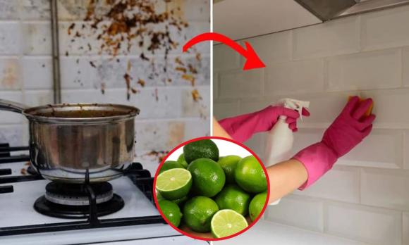 Quốc tế Đàn ông, ngày Quốc tế Đàn ông, ngày 19/11, kiến thức 