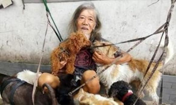phú nhị đại nổi tiếng Hong Kong, Trịnh Lục Tam, Trịnh Lục Tam sống lang thang với chó