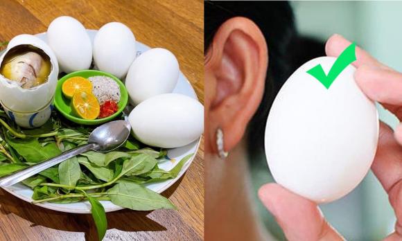 bảo quản trứng, cách bảo quản trứng trong tủ lạnh, có cần rửa trứng khi cho vào tủ lạnh