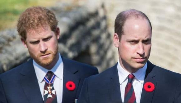 hoàng gia anh, Hoàng tử Harry và Meghan, Hoàng tử William
