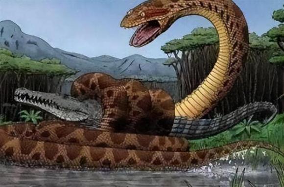 rắn khổng lồ, trăn khổng lồ