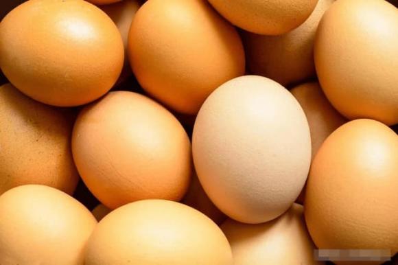 trứng, mua sắm trứng, tìm đặt trứng