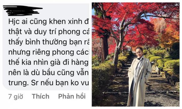 diễn viên Phương Oanh, sao Việt