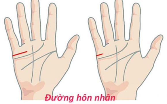 hôn nhân, xem đường hôn nhân, kiến thức 