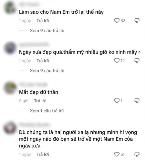 hoa khôi Nam Em, sao Việt