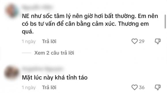 hoa khôi Nam Em, sao Việt
