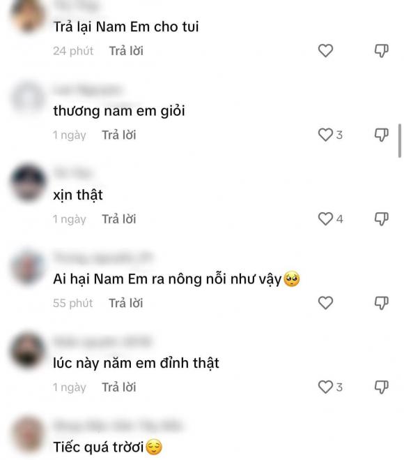 hoa khôi Nam Em, sao Việt