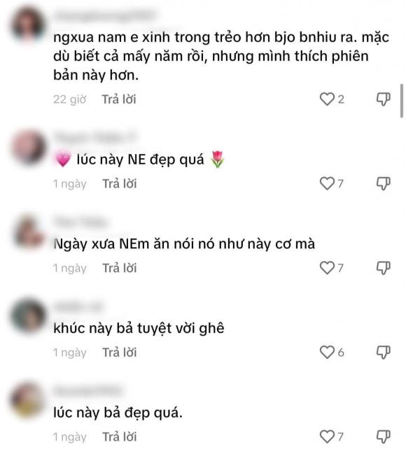 hoa khôi Nam Em, sao Việt