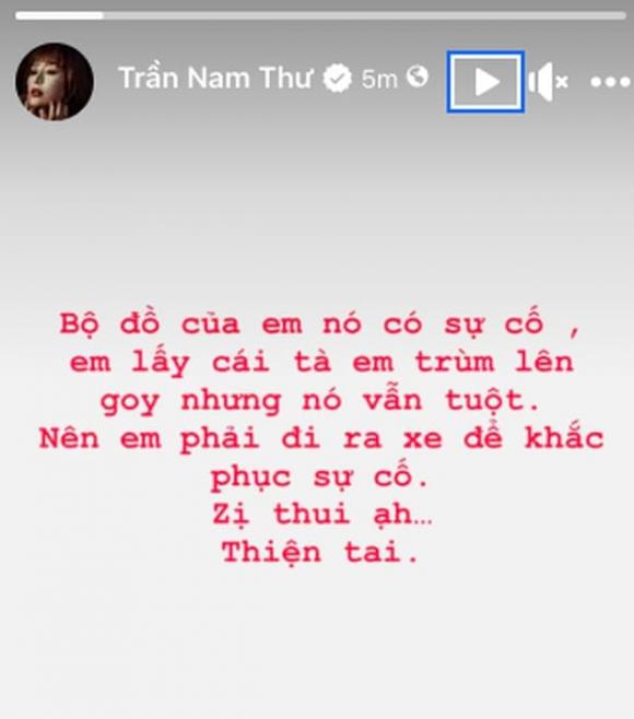 diễn viên Nam Thư, sao Việt