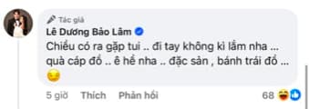 Lê Dương Bảo Lâm, sao Việt