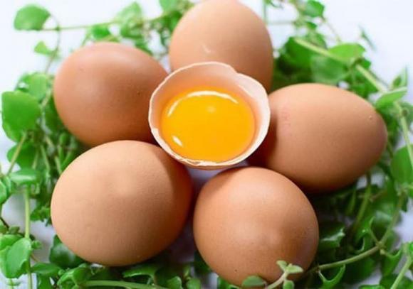 Trứng gà, bảo quản trứng, thực phẩm sạch, bảo quản thực phẩm