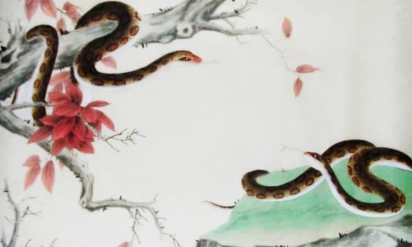 tử vi, con giáp, tử vi tháng 11 âm lịch