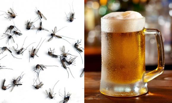 Mùa đông ít ruồi muỗi,ruồi muỗi,nguyên nhân mùa đông ít ruồi muỗi,mẹo đuổi ruồi muỗi