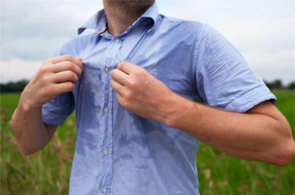 ruồi, nguyên nhân ruồi thích bám vào người, tập tính của ruồi