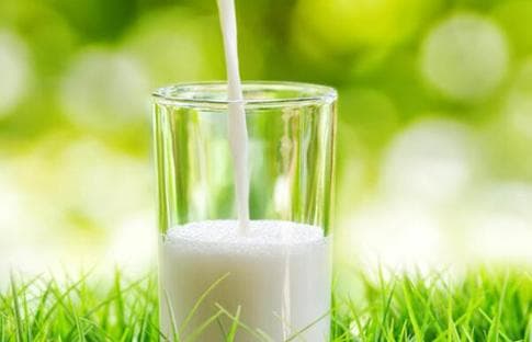 View - Ai không uống được sữa có thể thay thế việc bổ sung canxi dồi dào bằng “7 loại rau” này