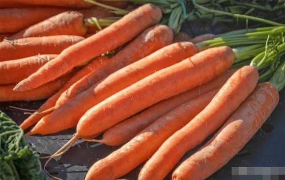 cà rốt, đồ ăn chất lượng tốt mang lại sức mạnh, khoản ngon kể từ cà rốt