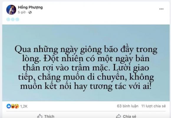 ca sĩ Hồng Phượng, Vũ Linh, sao Việt 