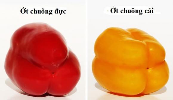 ớt chuông, chọn ớt chuông, kiến thức mẹo hay
