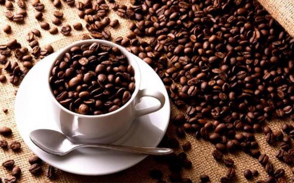 Cà phê Arabica,cà phê Robusta,tác dụng của cà phê