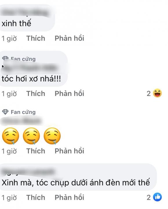sơn tùng, hải tú, sao việt 