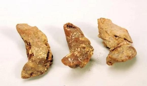 View - Bánh bao khai quật từ ngôi mộ cổ hàng nghìn năm vẫn không bị thối rữa, yếu tố này mới là mấu chốt 