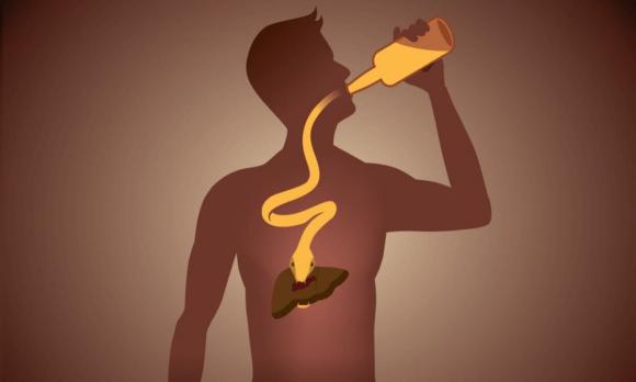 dấu hiệu gan có vấn đề, tác hại của rượu, cách giải độc gan