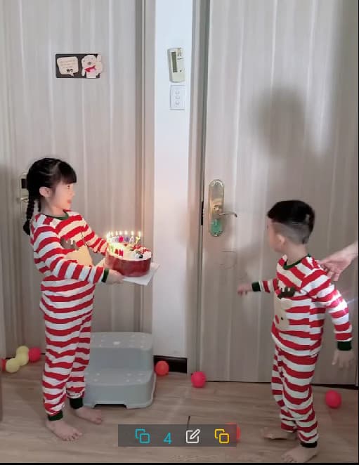 diệp lâm anh, sao việt 