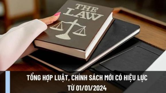 Luật 2024,luật khám bệnh,luật đấu thầu,luật thi đua khen thưởng