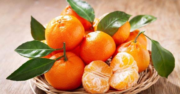 Mẹo chọn quýt đường,quýt đường nên chọn có lá hay không lá,mẹo ăn quýt đường