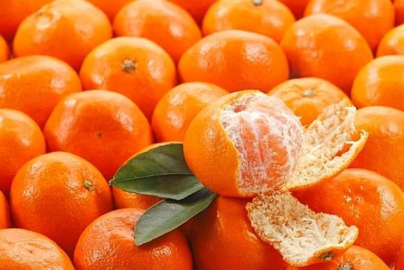 Mẹo chọn quýt đường,quýt đường nên chọn có lá hay không lá,mẹo ăn quýt đường