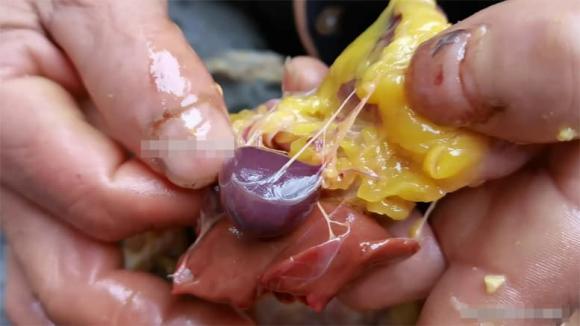 thịt gà, mỡ gà, bơ