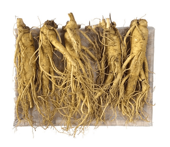 quà tết, quà tết sức khỏe, siêu thị làm đẹp