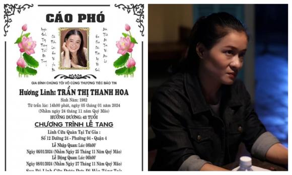 ca sĩ Phương Thanh, sao Việt