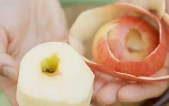 quả táo, ăn táo, quyền lợi của táo