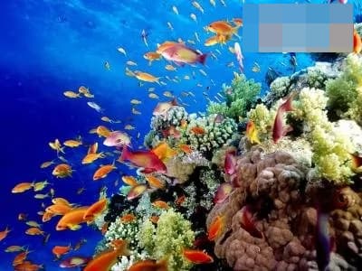 du lịch, Danh sách xếp hạng, địa điểm du lịch đẹp nhất