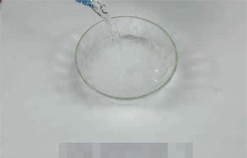 Mẹo đuổi gián, lá cây đuổi gián, mẹo diệt gián, mẹo đuổi côn trùng