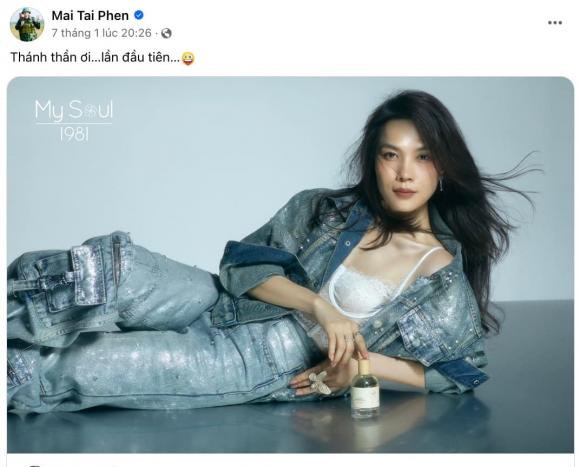 diễn viên Mai Tài Phến, ca sĩ Mỹ Tâm, sao Việt