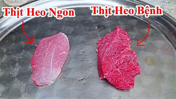 Thịt lợn tươi, thịt lợn chết bệnh, chọn thịt lợn, kiến thức