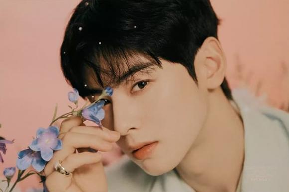 sao Hàn, sao Hàn được chọn làm hình lý tưởng, Jungkook (BTS) 