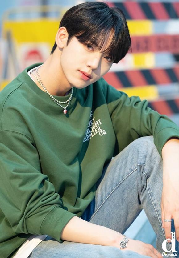 sao Hàn, sao Hàn được chọn làm hình lý tưởng, Jungkook (BTS) 