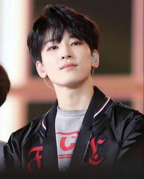 sao Hàn, sao Hàn được chọn làm hình lý tưởng, Jungkook (BTS) 