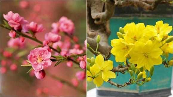 Tết nguyên đán, Dâng hoa bàn thờ ngày Tết, Tết 2024