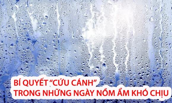 Thời tiết ẩm nồm, mẹo giúp nhà cửa khô ráo vì nồm ẩm, mẹo hay cuộc sống