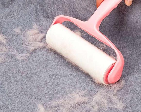 lông chó mèo, cách làm sạch lông chó mèo, kiến thức 