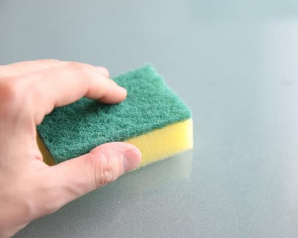 lông chó mèo, cách làm sạch lông chó mèo, kiến thức 